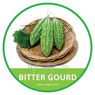 Bitter Gourd 1