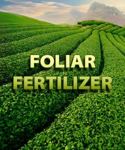 Foliar Fertilizer