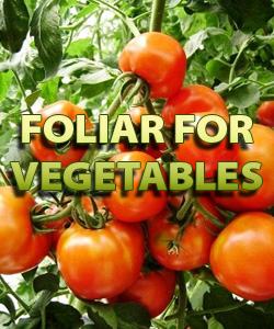 Foliar For Vegetables