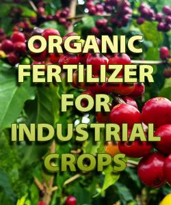 Organic Fertilizer For Industrial Crops