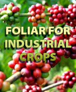 Foliar For Industrial Crops