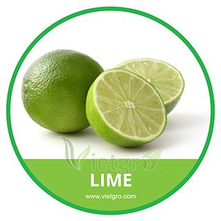 Lime Paper