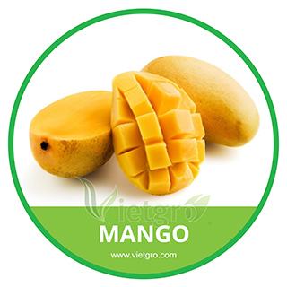 Mango Hoa Loc