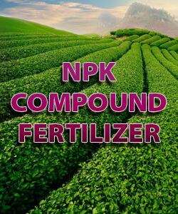 NPK Compound Fertilizer