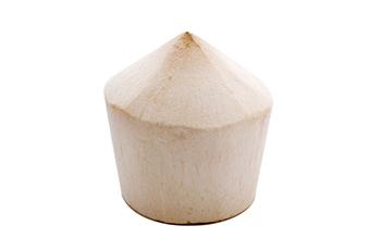 Coconut-product