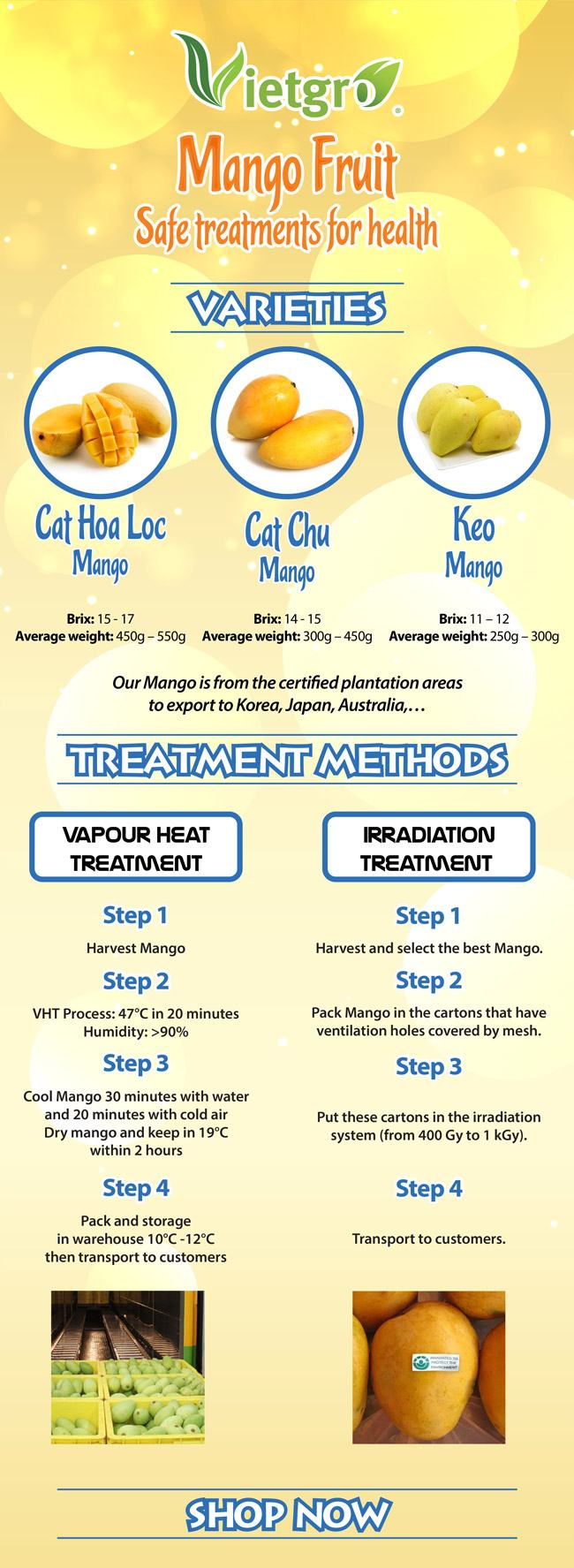 20161122_Fresh-Mango-with-VHT-and-Irradiation-Treatments