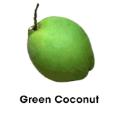 Coconut Variety
