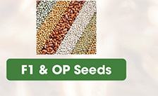 F1 & OP Seeds