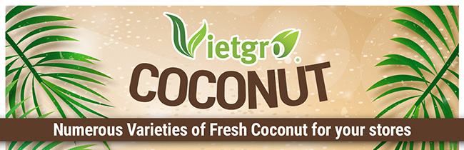 Coconut - Numerous Varieties of Fresh Coconut for your stores