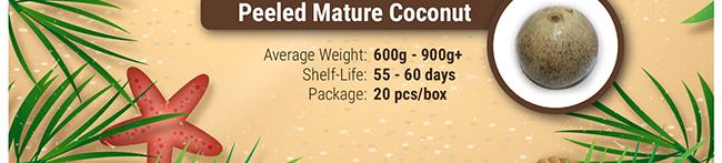 Peeled Mature Coconut
