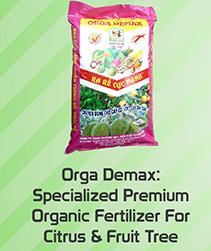 Orga Demax Specialized Premium Organic Fertilizer For Citrus & Fruit Tree