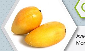 newsletter VHT Safe treatment for mango