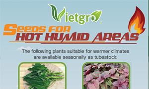 newsletter seeds for hot humid areas