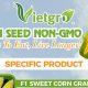 Vietgro-Corn-Seed-Non-GMO
