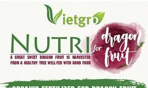 Vietgro-Newsletter-Dragon-Fruit