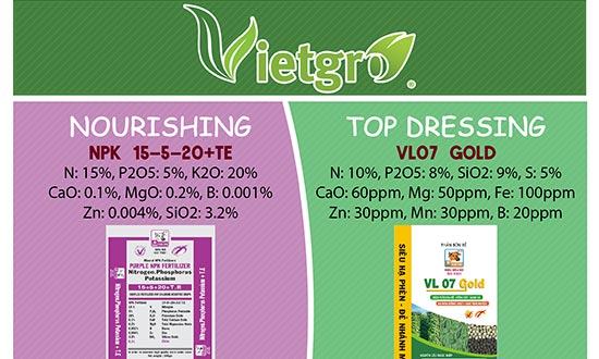 Vietgro-Newsletter-Fertilizer-for-Legumes-post