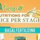 Vietgro-Newsletter-Fertilizer-for-Rice-post