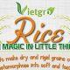 Vietgro-Newsletter-Rice