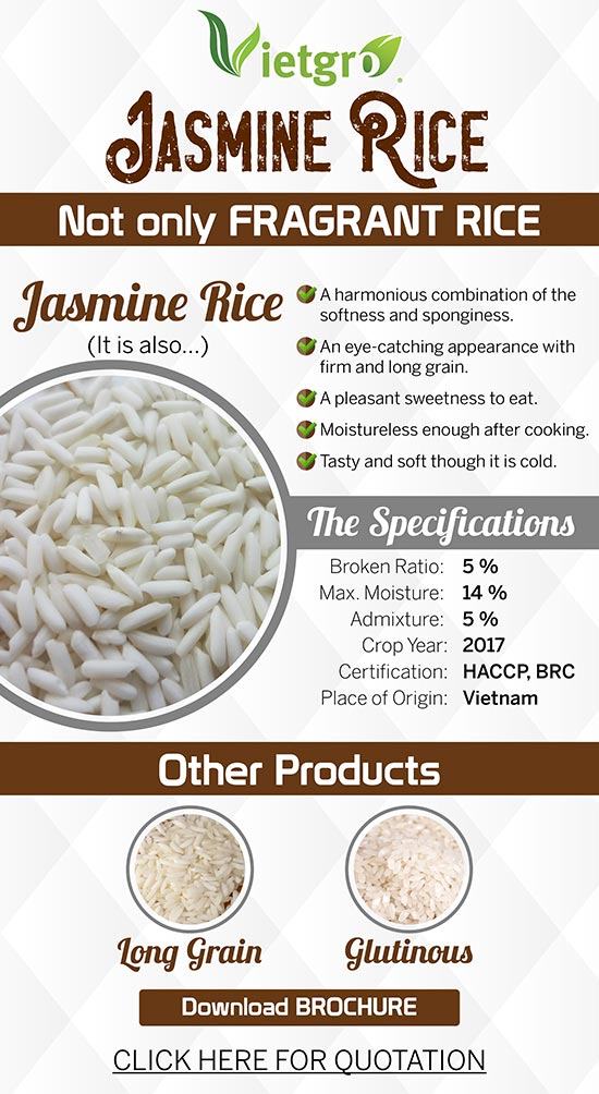 Vietgro-Newsletter-Rice-9-Jasmine-Rice