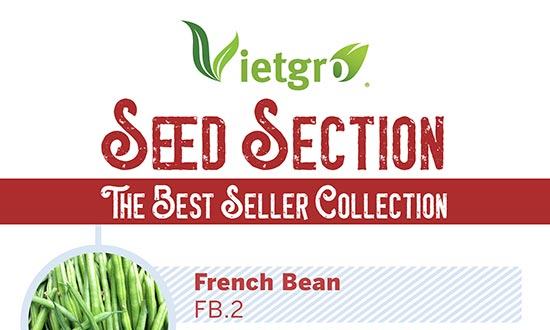 Newsletter-Seed-Best-Seller