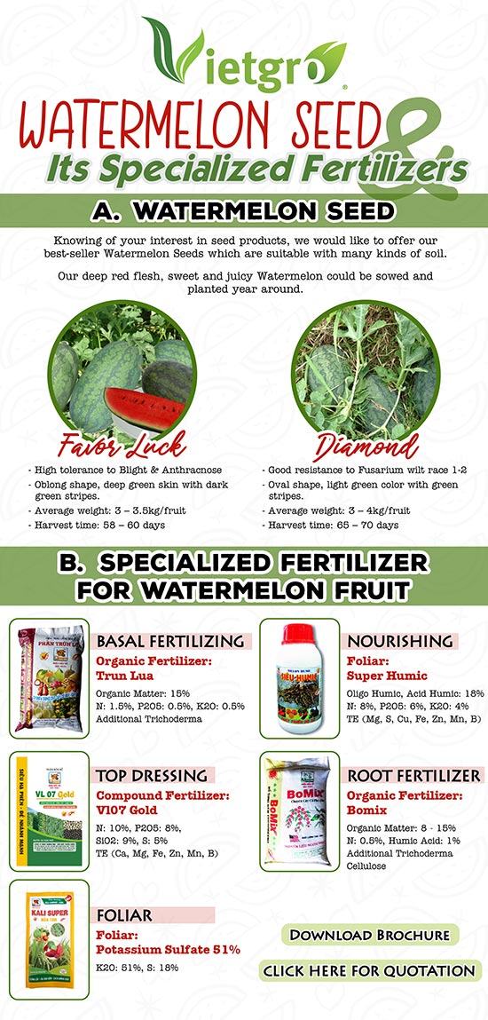 Vietgro-Watermelon-Seed-&-Its-Specialized-Fertilizers