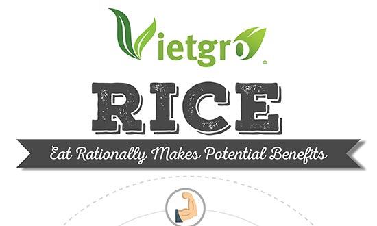 Vietgro-newsletter-Rice-8