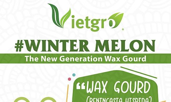 Vietgro-newsletter-Wax-Gourd-post